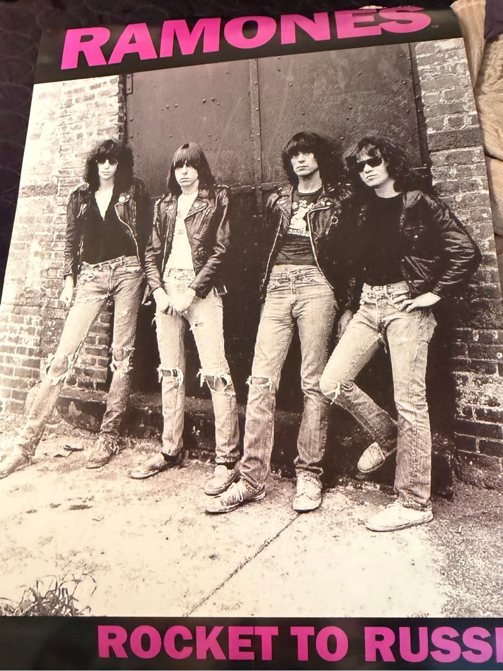 Ramones, Nirvana and Hole posters.